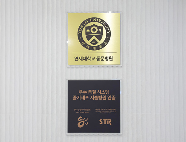 피부 · 탈모 · 성형